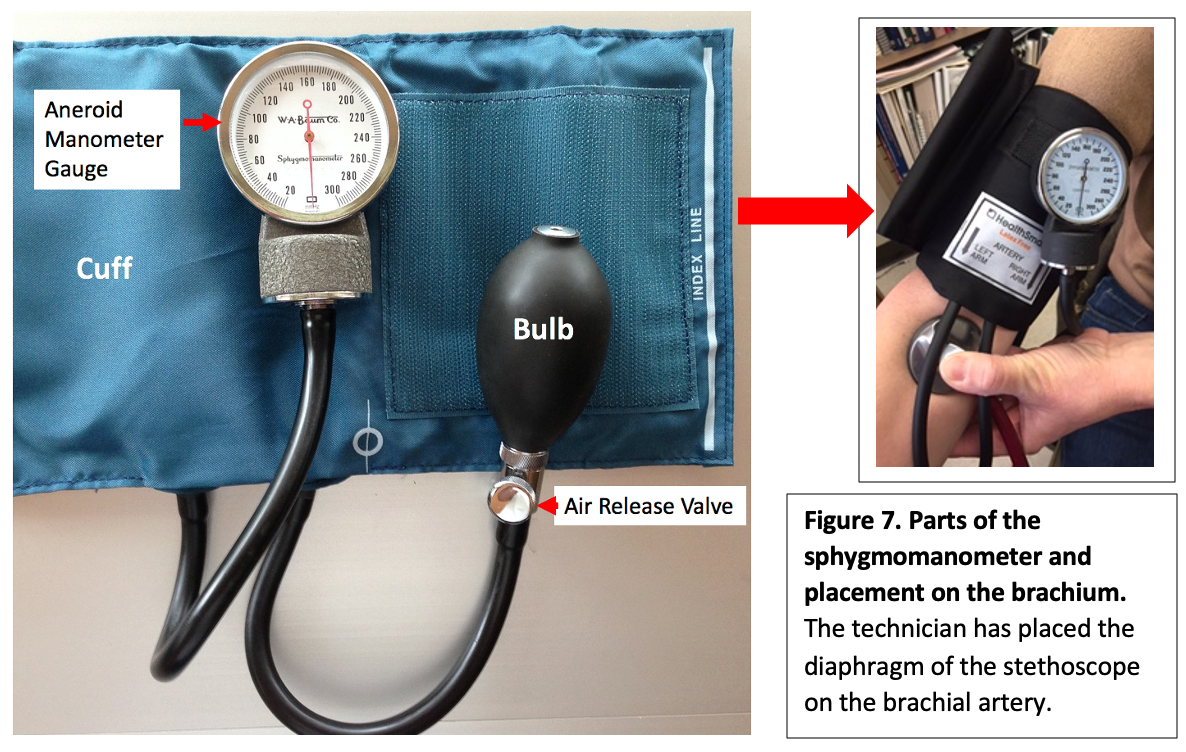 Clinical Techniques Assessment of Vital Signs A Mixed CourseBased