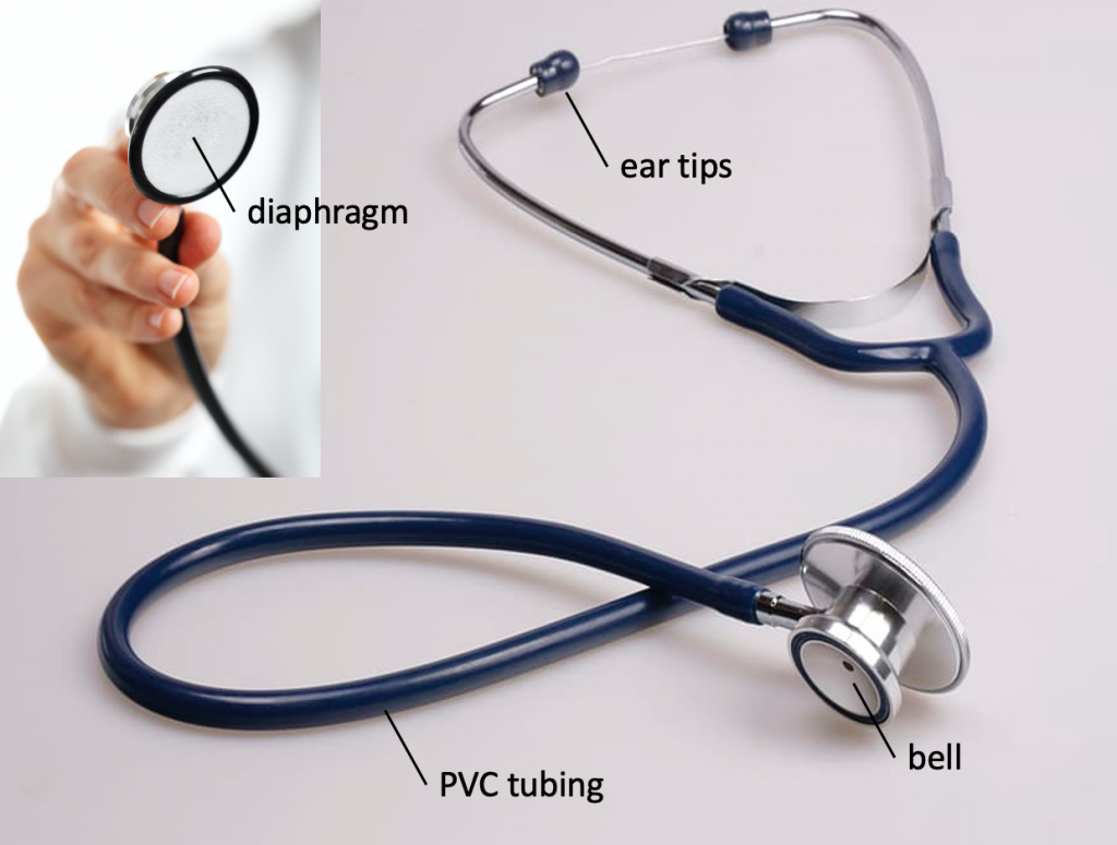 Parts of the stethoscope.
