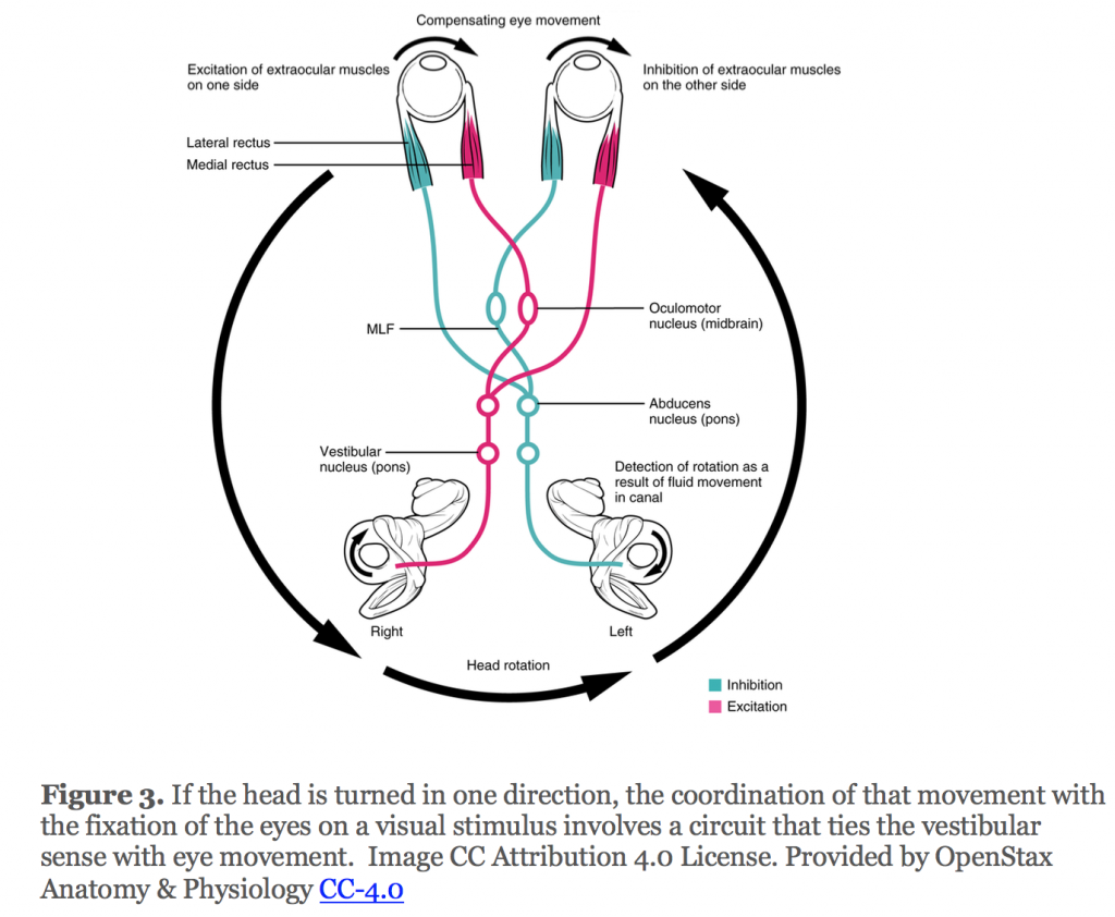 Detection of eye closing/opening from EOG and its application in