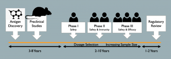 Molecules of Life: The Central Dogma and RNA Vaccines – A Mixed Course ...