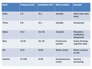 standard EEG waveforms