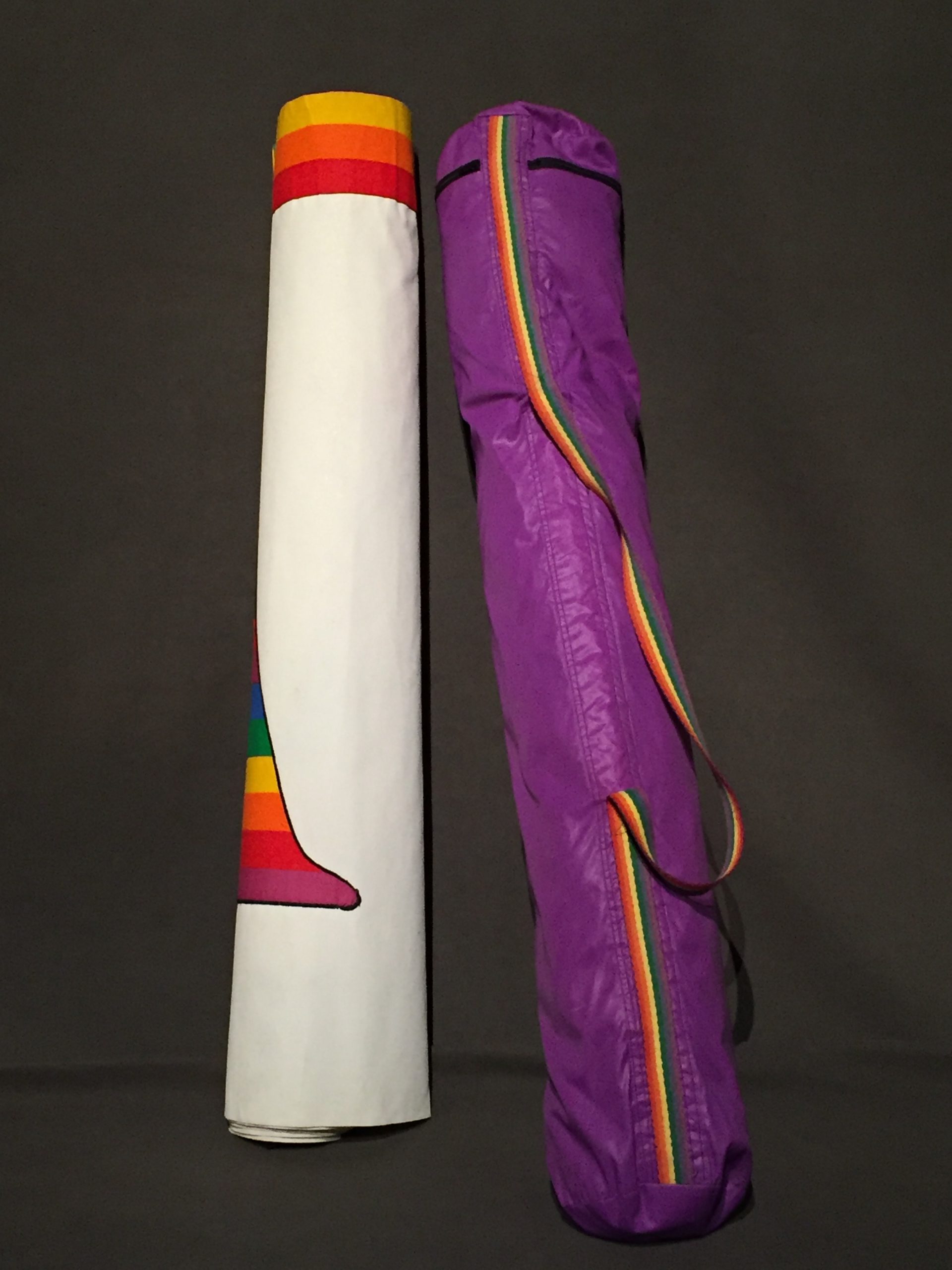 Purple bag with rainbow strap and banner nested inside. Banner is rolled up but rainbow insignia is visible.