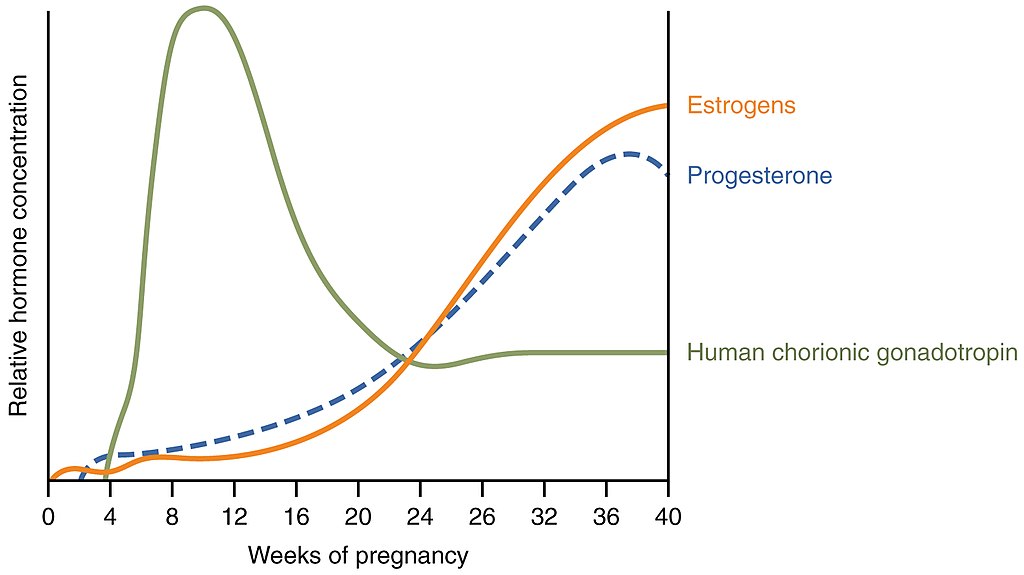 A line graph that shows the relationship between weeks of pregnancy and relative hormone concentrations for estrogens, progesterone, and human chorionic gonadotropin.