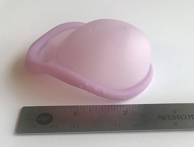 Photo of a diaphragm on a table, next to a ruler. It is 3 inches long.
