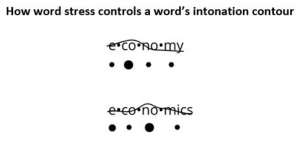 Word Stress Controls an Intonation Contour