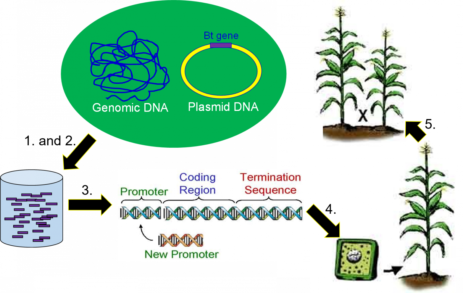 research topic for genetic engineering