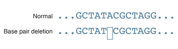 Normal shows GCTATA... and so on. The base pair deletion shows GCTAT and then a blank space before continuing on.