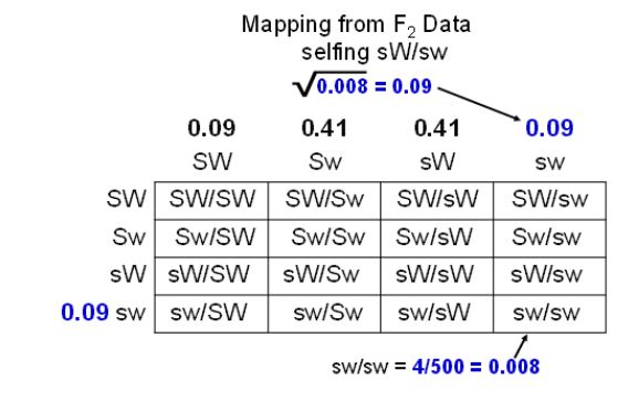 The sqaure root of .008 is .09, where the double lowercase sw lies in the mapping.