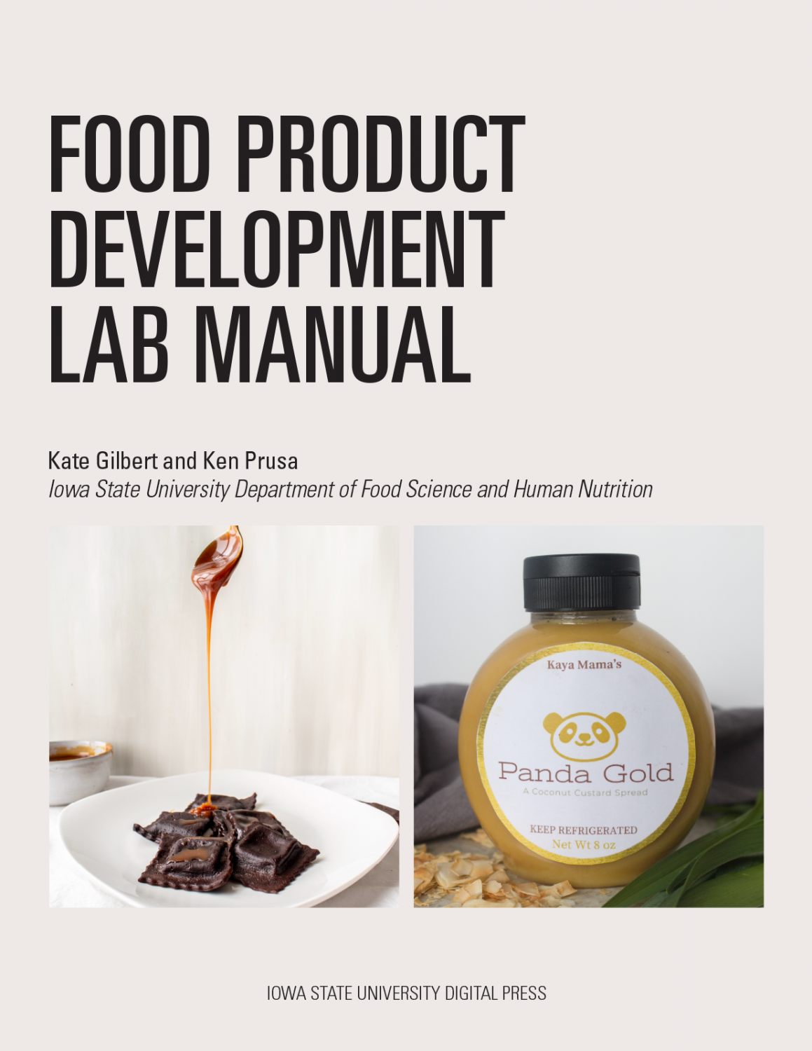 Cover image for Food Product Development Lab Manual