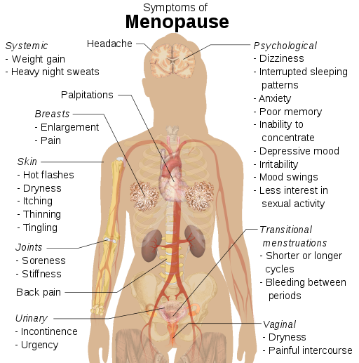 Breast augmentation - series—Normal anatomy: MedlinePlus Medical  Encyclopedia