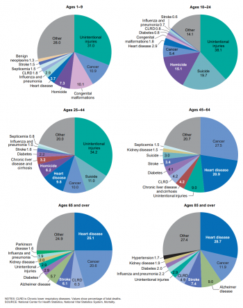 Understanding Death – Individual and Family Development, Health, and ...