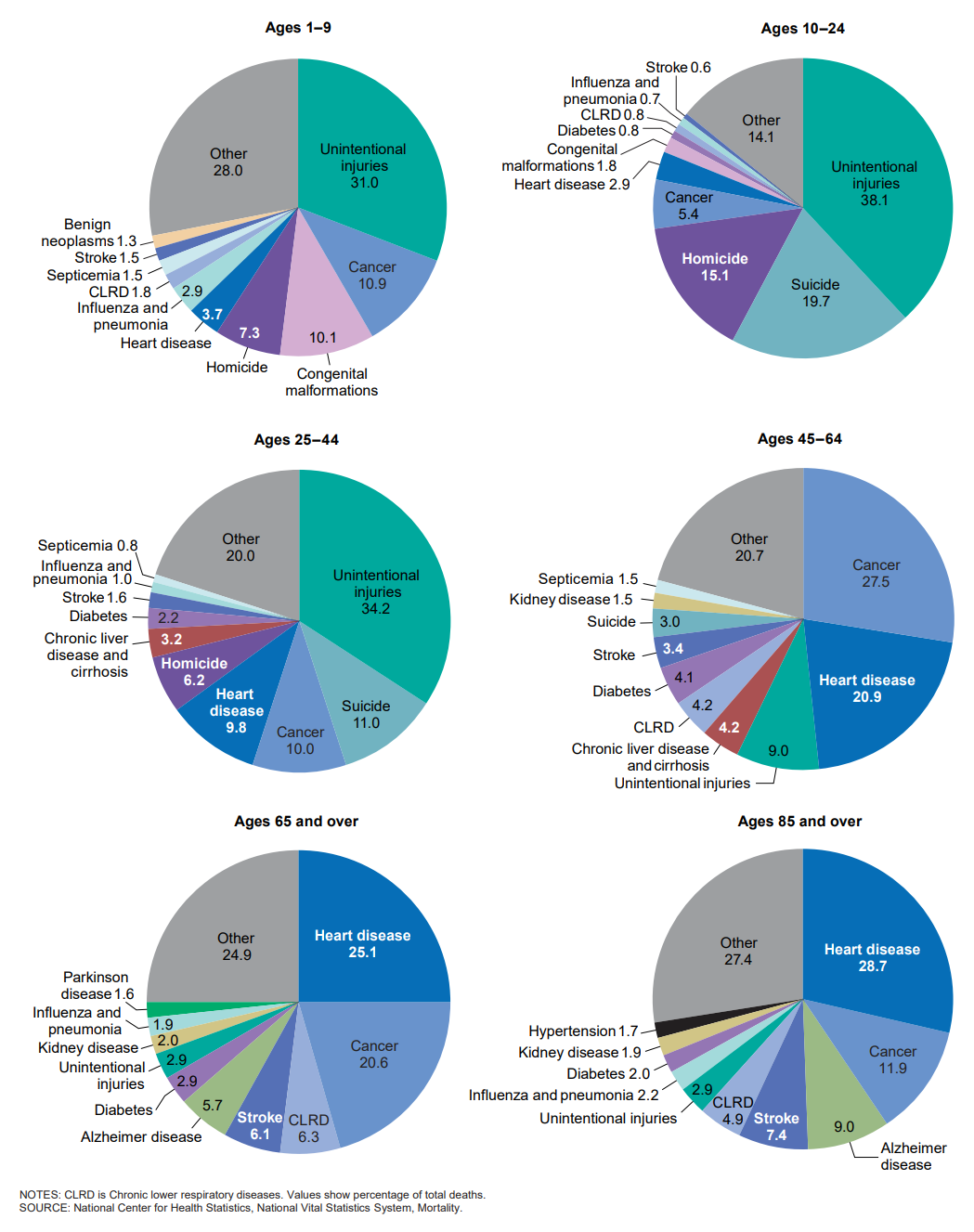 6 pie charts showing causes of death by age ranges. Among adults aged 65+, heart disease, cancer, Alzheimer's, and Strokes top the list, along with the varge section containing "Other" causes.