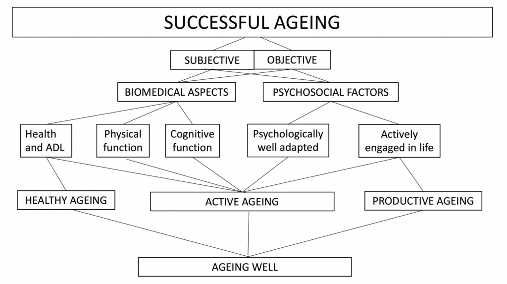 A map of terms related to successful ageing, including subjective and objective factors, such as biomedical aspects (health, physical function, and cognitive function) and psychosocial factors (being active and well adapted in life).