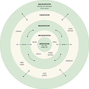 Contextual Perspectives – Individual and Family Development, Health ...