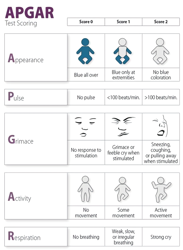 APGAR test scoring rubric, looking at appearance, pulse, grimace, activity, and respiration.