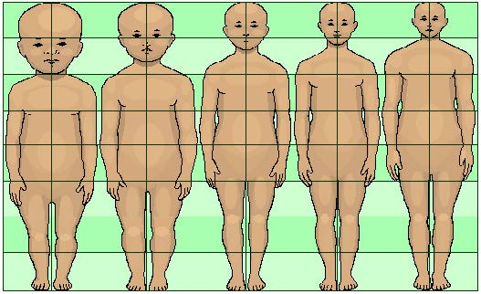 As a child ages, their head remains the same size, but the body grows and becomes more proportionate with the head.