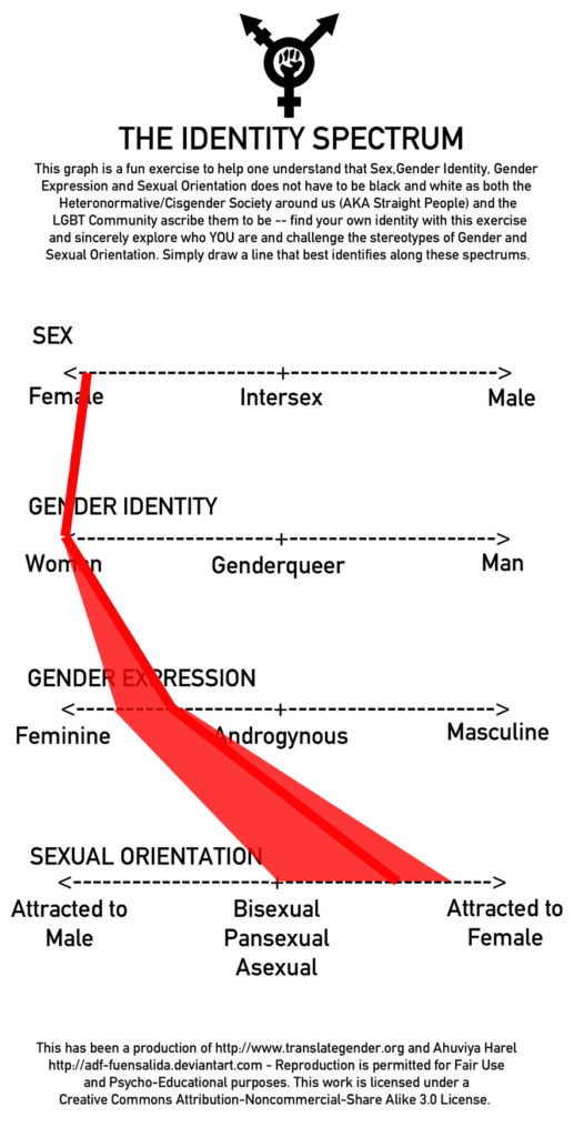 The Identity Spectrum visualized as a flow chart, providing an example for an individual who is a female, identifying as a woman, expressing their gender androgynously, and being attracted to females.