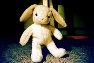 Photo of an old stuffed rabbit toy.