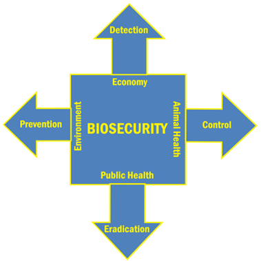 A square labeled biosecurity with four arrows extending out for the four points of emphasis.