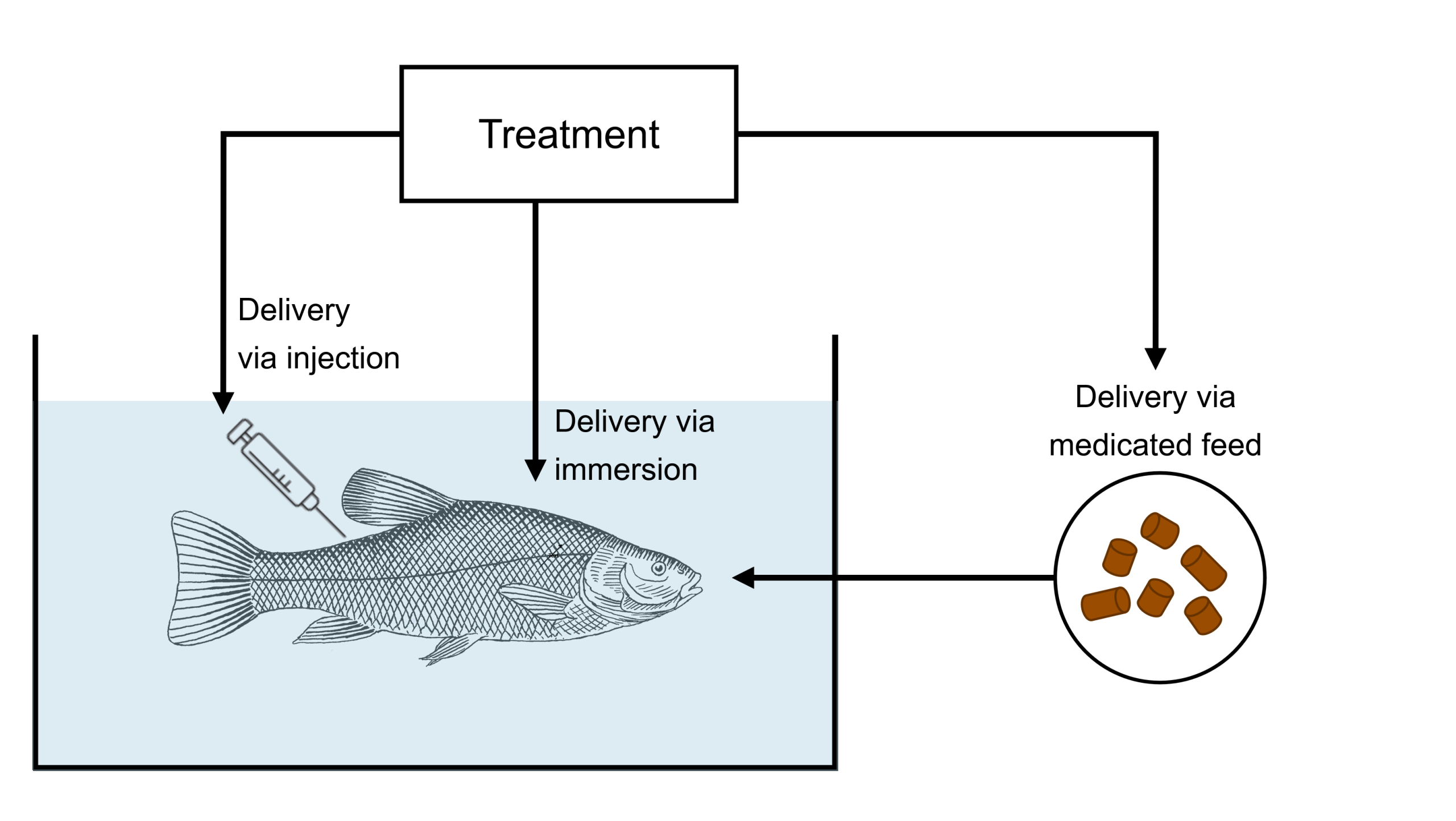 A line chart showing three treatment methods and a fish in a small tank: injection, immersion, and delivery via feed.
