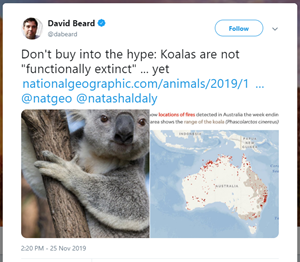 Image of the tweet about koala's situation in Australia