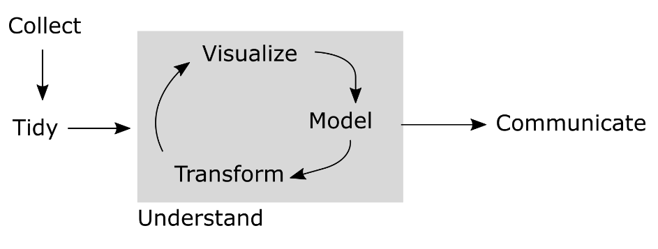 A flowchart from collecting and tidying data to understanding and communicating it.