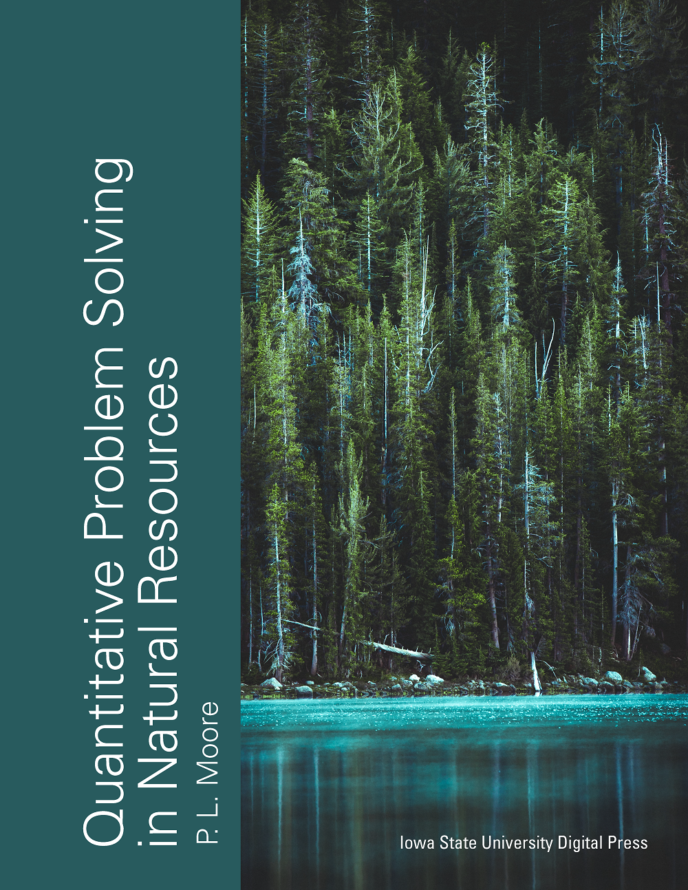 Cover image for Quantitative Problem Solving in Natural Resources