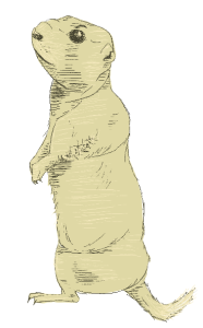 A sketch of a prairie dog