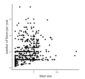 A chart with a series of data points, dots, which are arranged haphazardly across the ranges available.