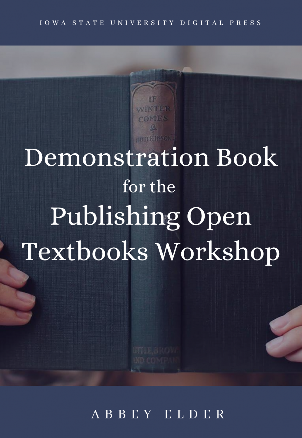 Cover image for Demonstration Book for Pressbooks Authors