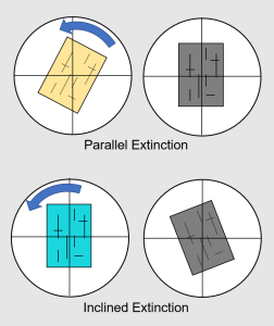 Figure 2.7.3. A comparison of parallel and inclined extinction.