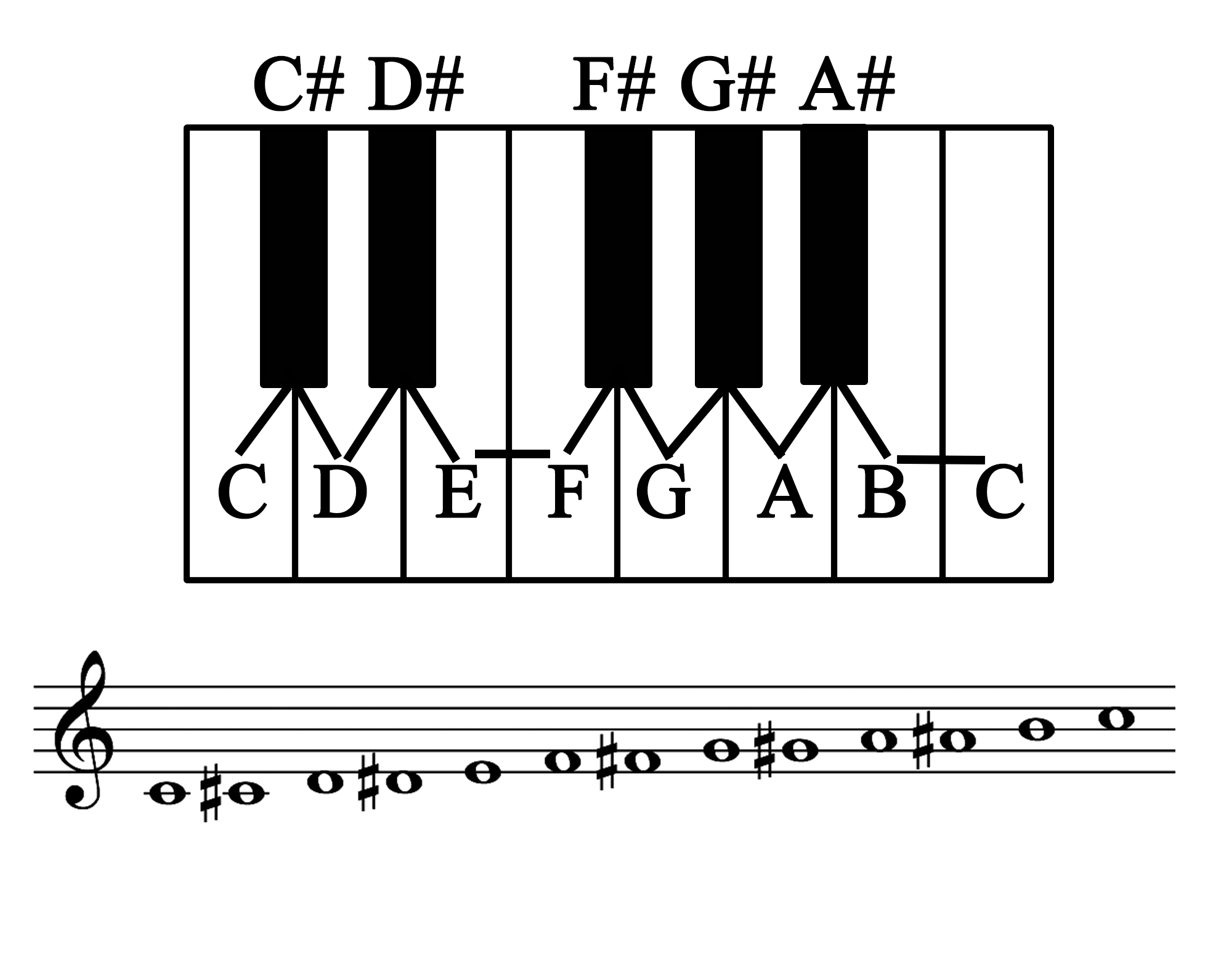A keyboard with chromatic scale C, C-sharp, D, D-sharp, E, F, F-sharp, G, G-sharp, A, A-sharp, B, C labeled and shown on a staff.