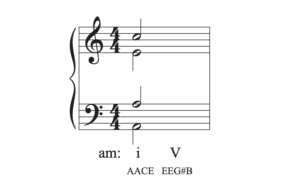 Part writing the I chord in the musical example in A minor.