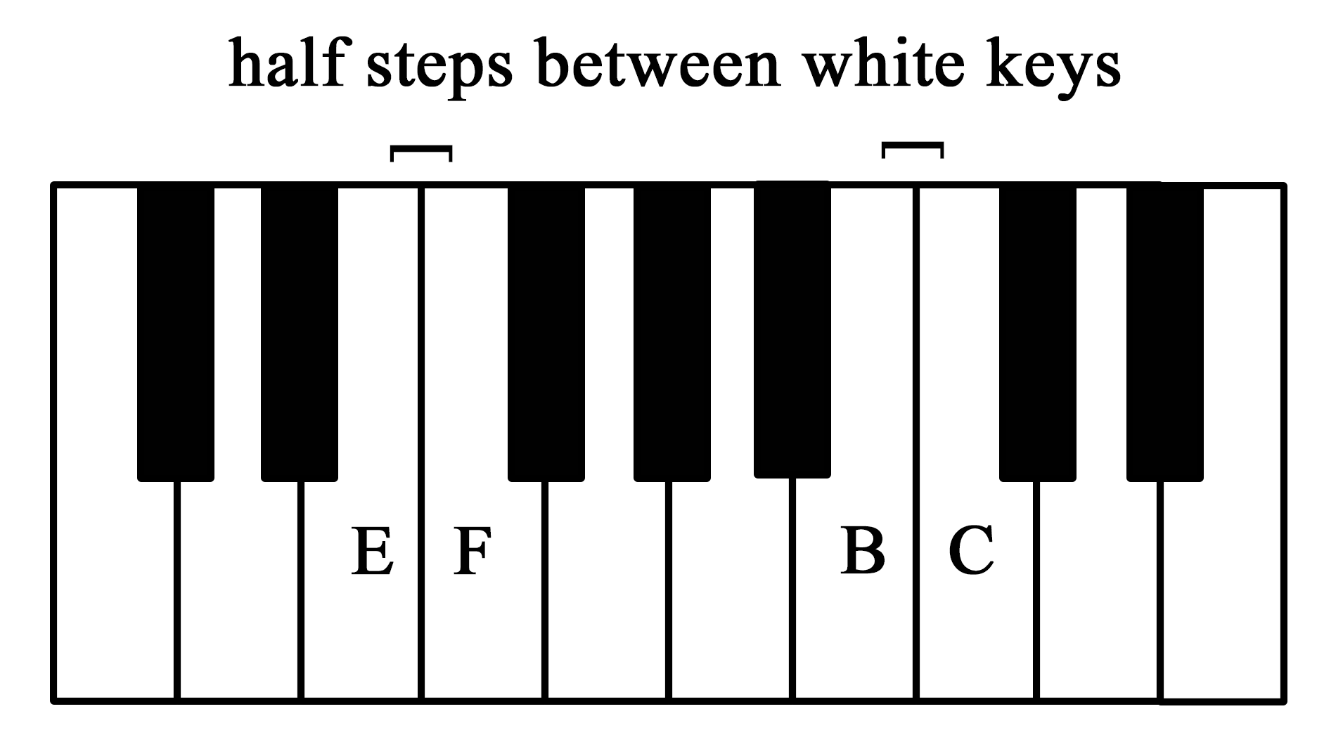 A keyboard with half steps between white keys E and F and B and C labeled.