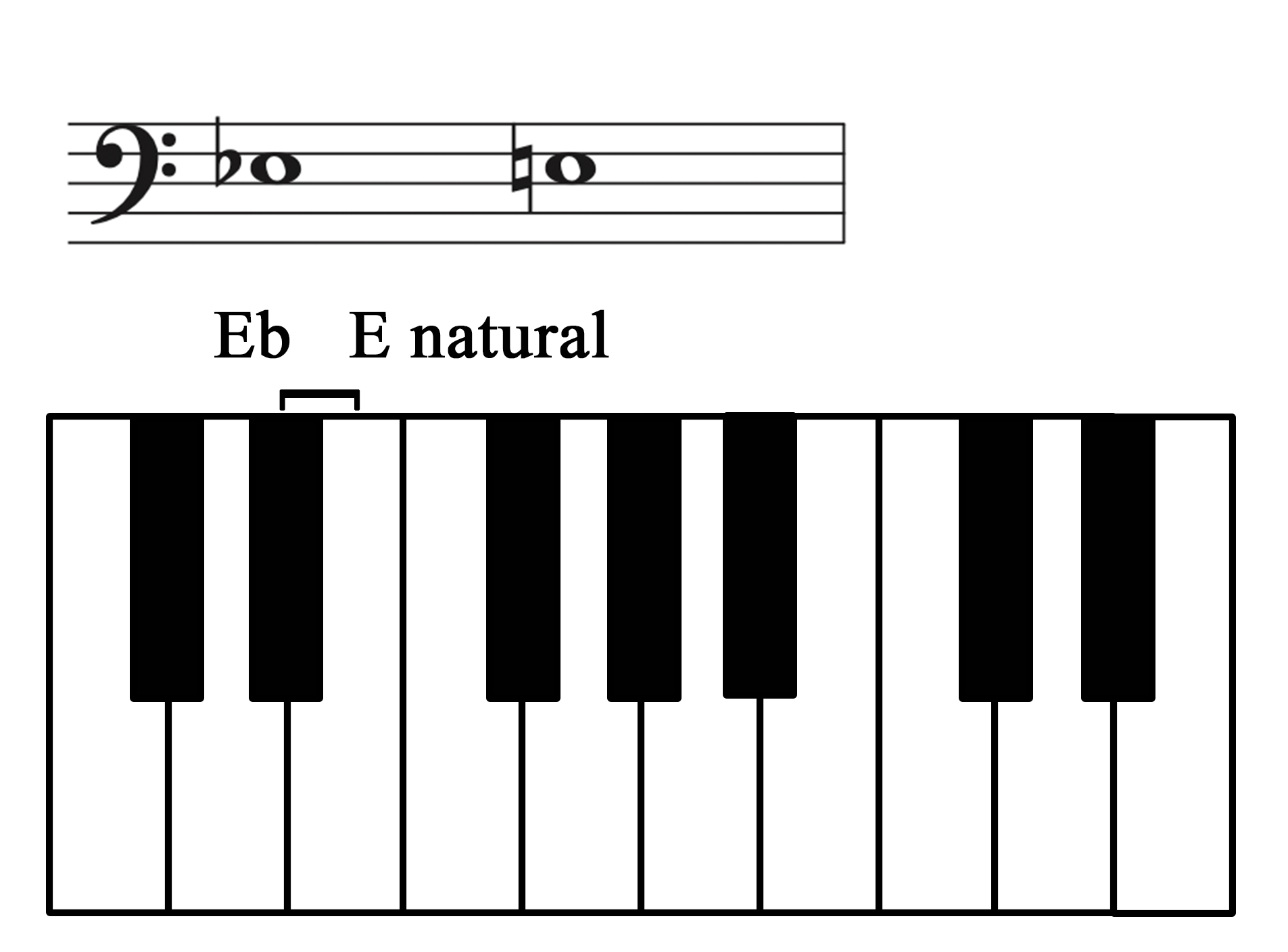 A keyboard with E-flat to E-natural labeled and shown on a staff.