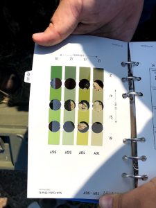 A soil ped being held under a Munsell Soil color book to identify the color.
