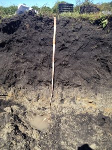 80 cm of dark soil, underlain by speckle grey/red colors and small puddle at the base of the tape measure.