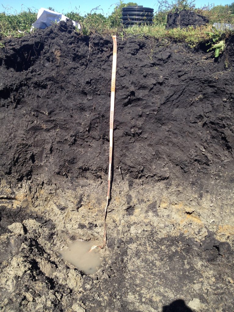 Soil face depicting a large accumulated of organic matter on top of a pale brown horizon.