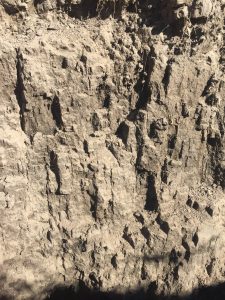 A soil face with the top of the profile degraded deeper due to sodium accumulation.