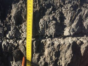 A part of a soil profile that shows sodium accumulation due to a lack of excess precipitation meaning that soil structure is negatively impacted, resulting in a columnar structure. This soil feels very hard around 25 cm due to sodium interacting with soil particles.