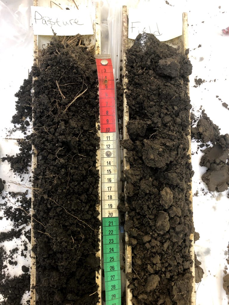Two soil profiles sitting next to each other, taken from the same field/soil but two treatments. Pasture shows a much finer aggregation, more roots, and darker color while the field soil shows larger and less consistently sized aggregates, with lighter colors mixed into upper 20 cm.
