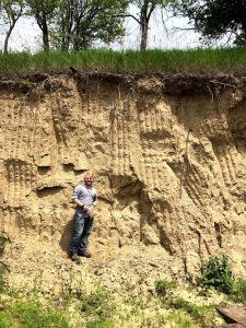 Road cut of loess materials that dwarfs the person standing in front of it. Yellow-ish materials extend up until a thick grass cover and some hanging exposed roots.