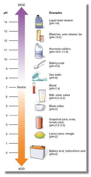"pH is a measure of how acidic/basic water is. The range goes from 0 - 14, with 7 being neutral. pHs of less than 7 indicate acidity, whereas a pH of greater than 7 indicates a base. pH is really a measure of the relative amount of free hydrogen and hydroxyl ions in the water. Water that has more free hydrogen ions is acidic, whereas water that has more free hydroxyl ions is basic. Since pH can be affected by chemicals in the water, pH is an important indicator of water that is changing chemically. pH is reported in "logarithmic units". Each number represents a 10-fold change in the acidity/basicness of the water. Water with a pH of five is ten times more acidic than water having a pH of six." Source: https://www.usgs.gov/media/images/ph-scale-0