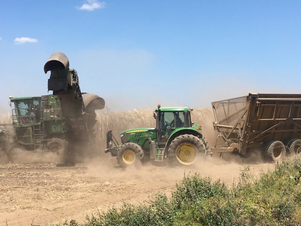 A combine harvesting sugarcane with a tractor and wagon following behind and to the left. There is a lot of dust blowing around in the field which is wind erosion. The sky is blue with two small clouds on the left side of the photo.