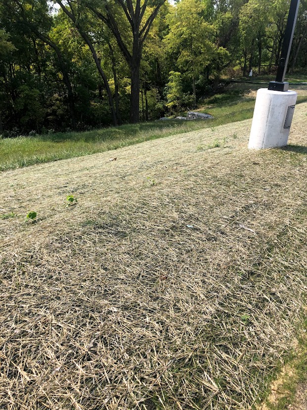 Netting laid over establishing grass with tree line in the background. There is an upright within the netted portion of the ground.
