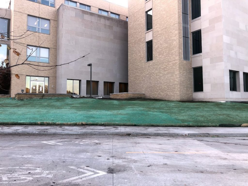 Hydromulch located onto of the ground outside of the Gerdin Business Building.