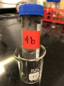 Soil and water in a small capped plastic tube. The tube in in a 50ml glass beaker located on a black surface.
