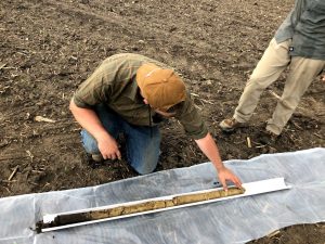 A person standing with another person kneeling examining a soil core in a pipe on top of plastic wrap within a field. Soil core has a small A horizon with short depth to C horizon that is calcareous.