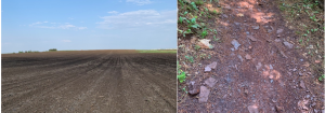 Comparison between soils. Left image shows a corn field in Central Iowa where a darker soil is spotted in the center of the field corresponding to increased accumulation of organic matter. The Right image shows a bike trail in Crosby Minnesota where many soil particle sizes are seen in a small area.