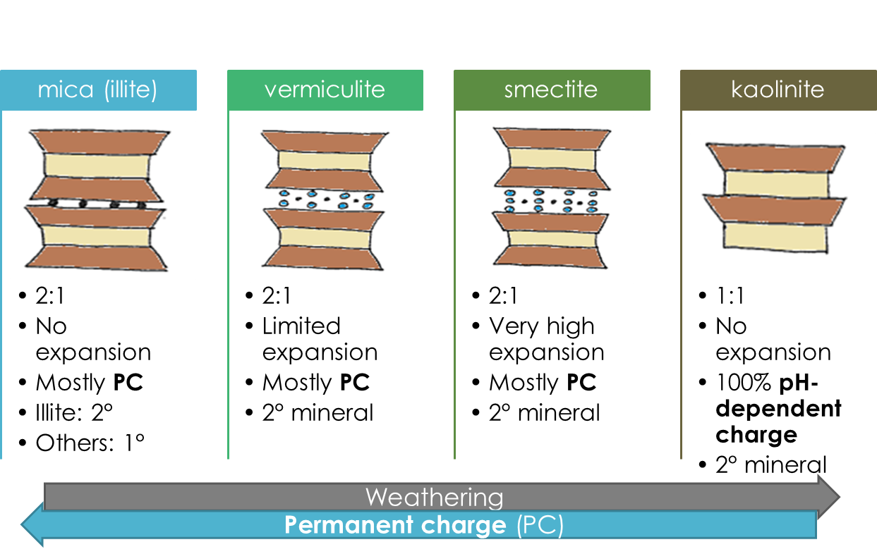 phyllosilicate properties diagram